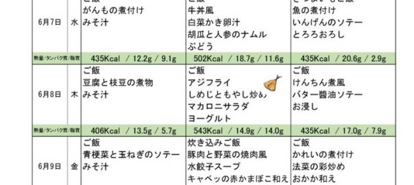 つくも苑献立表H290605のサムネイル