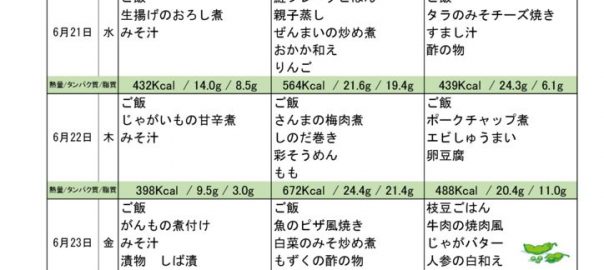 つくも苑献立表H290619のサムネイル