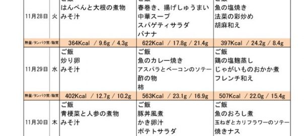 つくも苑献立表H2911226のサムネイル