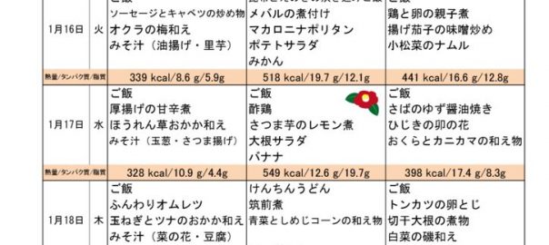 つくも苑献立表H30114のサムネイル