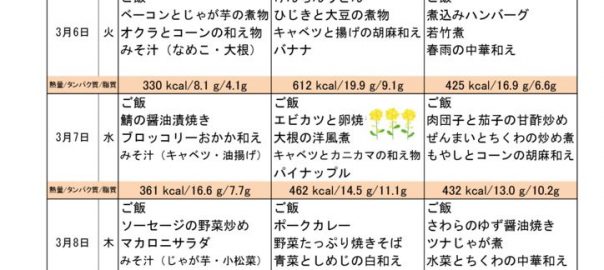 つくも苑献立表H300304のサムネイル