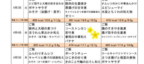つくも苑献立表H3041のサムネイル