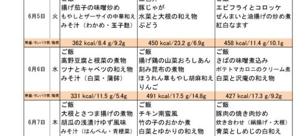 つくも苑献立表H30063のサムネイル