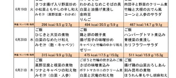 つくも苑献立表H300617のサムネイル