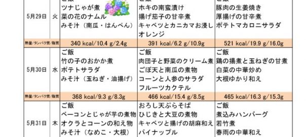 つくも苑献立表H3006のサムネイル