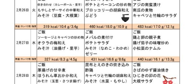つくも苑献立表201903のサムネイル