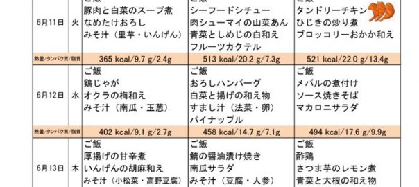 つくも苑献立表20190609のサムネイル
